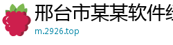 邢台市某某软件经销部